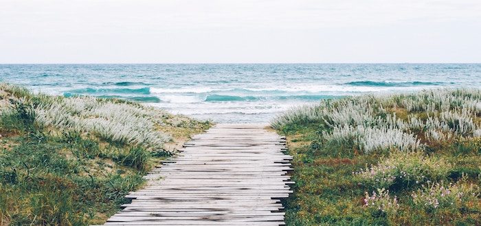 A Bump in the Road - Mindful Mamas Blog